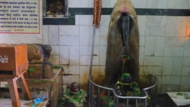 भगवान शिव के धाम तुर्रीधाम में विशाल भंडारे का आयोजन आज,,, - Console Corptech