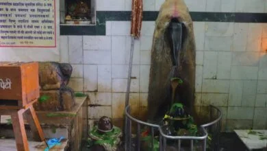 भगवान शिव के धाम तुर्रीधाम में विशाल भंडारे का आयोजन आज,,, - Console Corptech