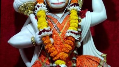 सिवनी गांव में हनुमान जन्मोत्सव पर होगा विशाल भंडारा का आयोजन, हवन-पूजन के लिए की गई विशेष तैयारियां... - Console Corptech