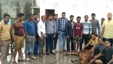 प्रयास सेवा संस्थान के गौ सेवकों ने NDRF के तर्ज पर रेस्कयू कर बचाई गौ माता की जान, देखे लाइव वीडियो... - Console Corptech