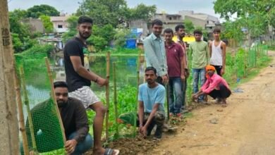 मंझली तालाब के उत्साही युवाओ द्वारा किया गया पौधेरोपण, लिया संकल्प देखभाल का... - Console Corptech