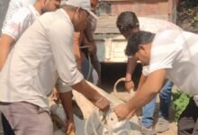 प्रयास गौसेवा संस्थान चांपा ने किया नन्दी बाबा का सफल रेस्क्यू ऑपरेशन तीन दिनों से मचा था कोहराम... - Console Corptech