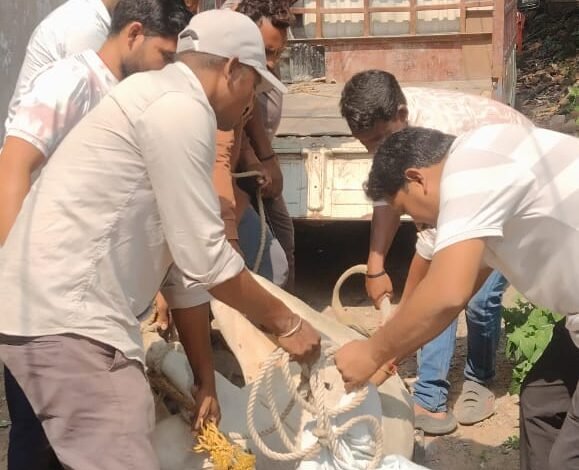 प्रयास गौसेवा संस्थान चांपा ने किया नन्दी बाबा का सफल रेस्क्यू ऑपरेशन तीन दिनों से मचा था कोहराम... - Console Corptech